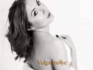 Vulgarmollye