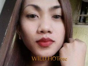 WILD_HOTrose