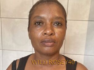 WILD_ROSEY40