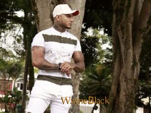 WayneBlack