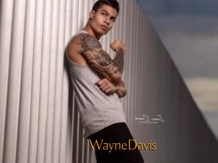 WayneDavis