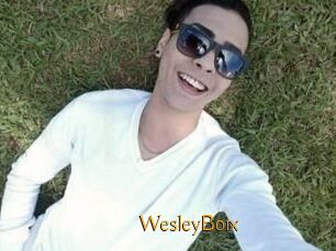 Wesley_Boix