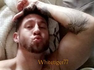 Whitetiger77