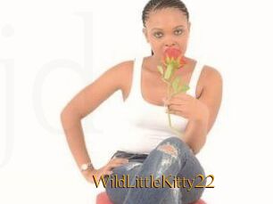 WildLittleKitty22