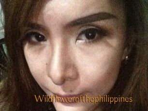 Wildflowerofthephilippines