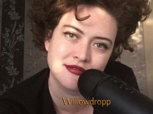 Willowdropp