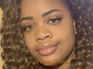 Winter_Rosea