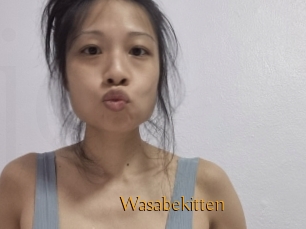 Wasabekitten