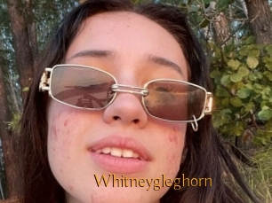 Whitneygleghorn