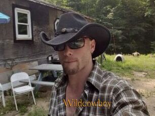 Wildcowboy