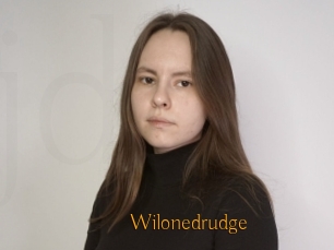 Wilonedrudge