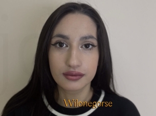 Wilonegorse