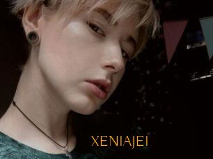 XENIA_JEI