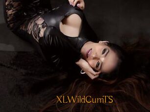 XLWildCumTS