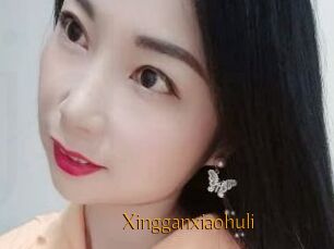 Xingganxiaohuli