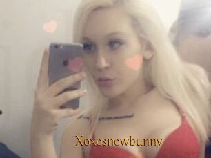 Xoxosnowbunny