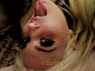 _x_Bunny_x_