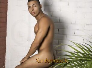 Xandermuscle