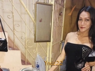 Ynez22
