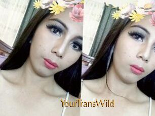 YourTransWild