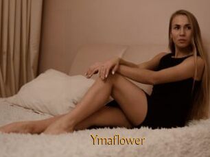 Ymaflower