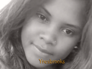 Ynesbrooks