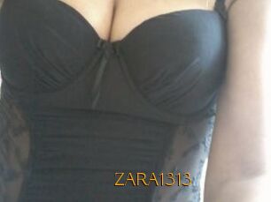 ZARA1313