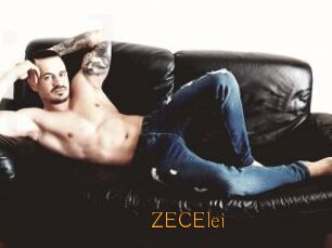 ZECElei