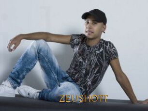 ZEUSHOTT