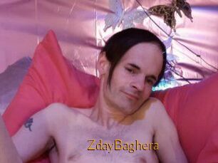ZdayBaghera
