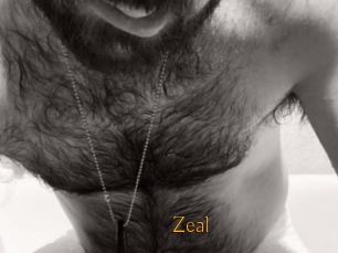 Zeal