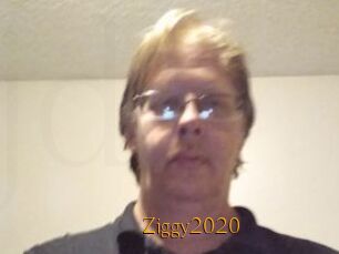 Ziggy2020