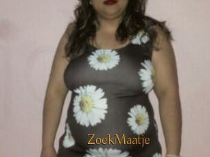 ZoekMaatje