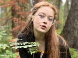 Zadnizza