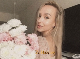 Zeldaacey