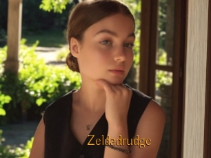 Zeldadrudge