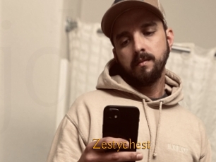 Zestychest