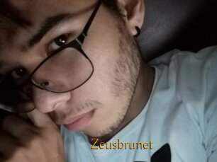 Zeusbrunet